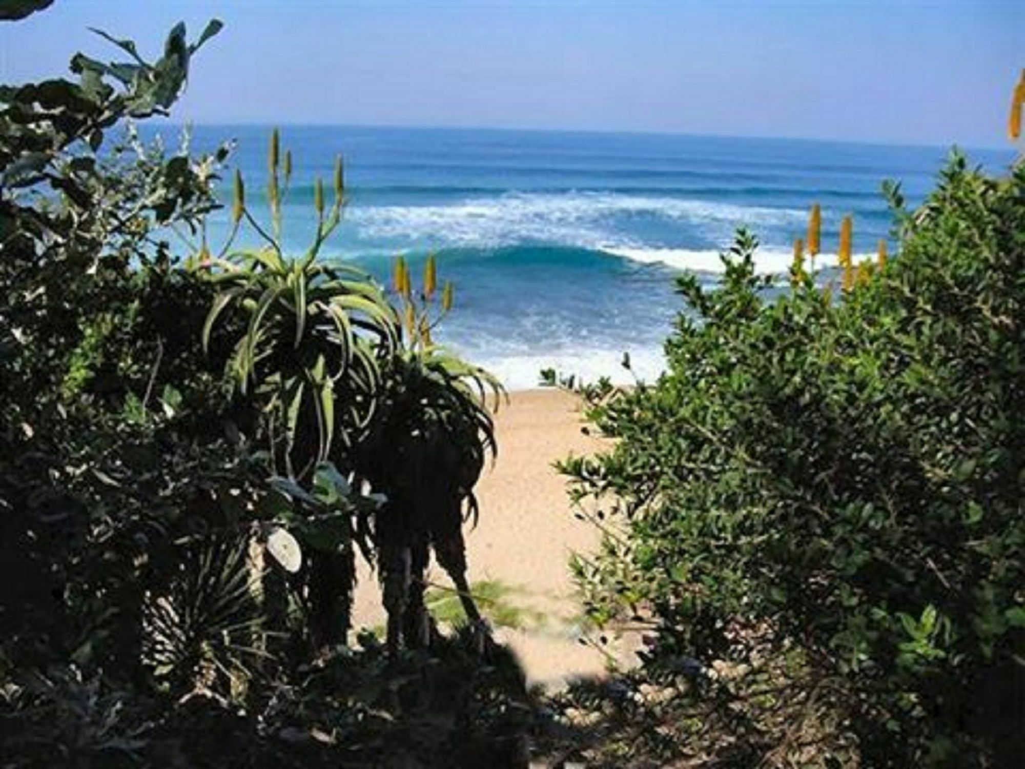 Rostalyn Guesthouse Umhlanga Exterior photo